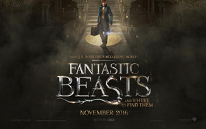 Fantastic Beasts and Where to Find Them